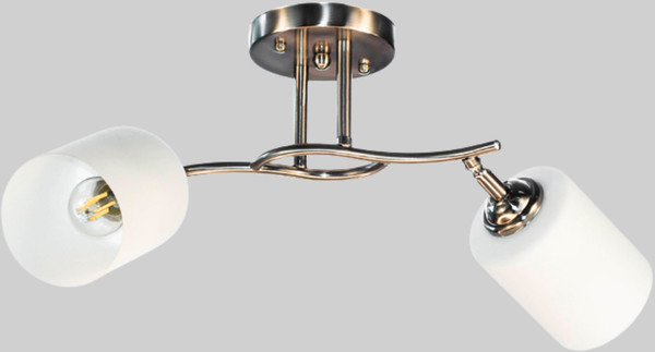 Изображение товара Спот Aitin-Pro НПБ 02-2x60-101 / N6410/2 (титан)