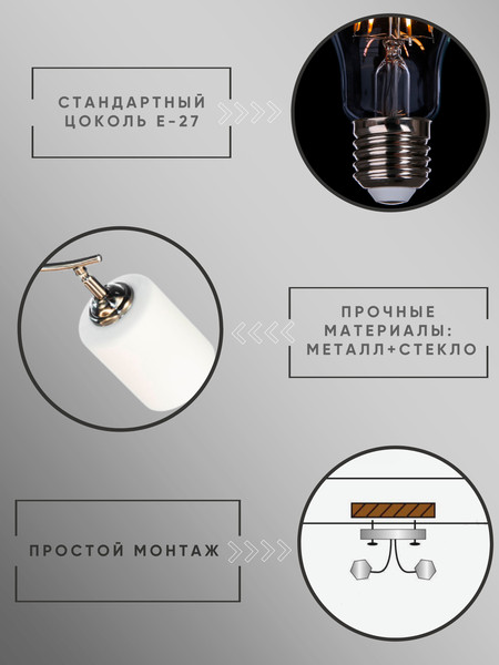 Изображение товара Спот Aitin-Pro НПБ 02-2x60-101 / N6410/2 (титан)