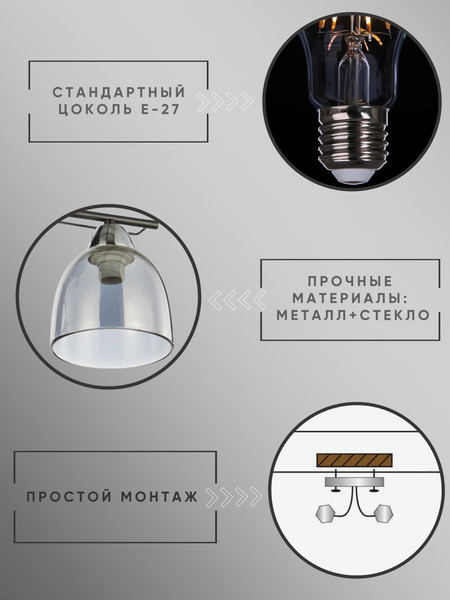 Изображение товара Потолочный светильник Aitin-Pro НПБ 02-2x60-101 / 6098/2 (черный/хром)