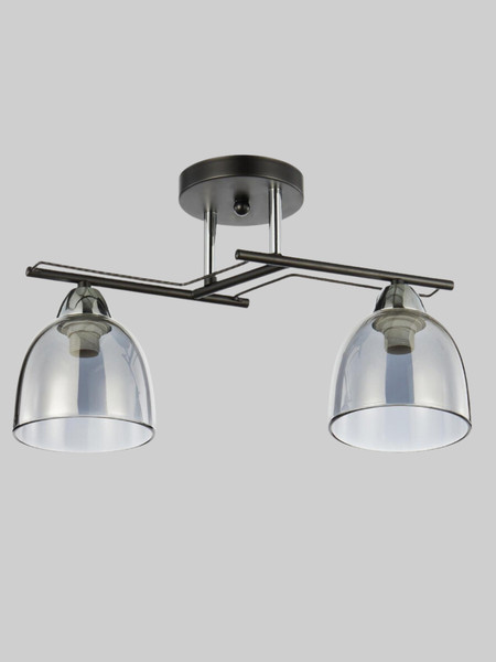 Изображение товара Потолочный светильник Aitin-Pro НПБ 02-2x60-101 / 6098/2 (черный/хром)