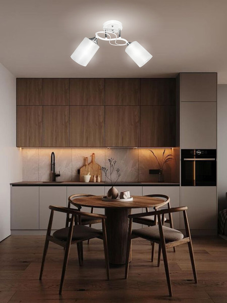 Изображение товара Потолочный светильник Aitin-Pro НПБ 02-2x60-101 / 6108A/2 (белый/хром)