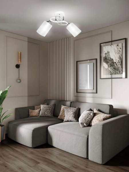 Изображение товара Потолочный светильник Aitin-Pro НПБ 02-2x60-101 / 6108A/2 (белый/хром)