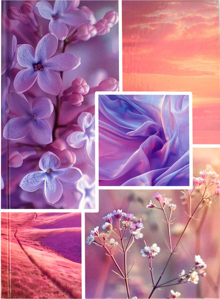 Изображение товара Тетрадь Феникс+ Сиреневый микс / 69251 (96л)