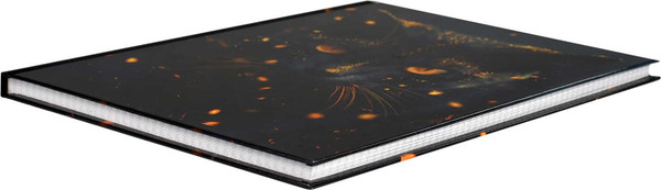 Изображение товара Тетрадь Феникс+ Кот-маг / 69250 (96л)