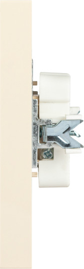 Изображение товара Розетка INTRO Accent 6-204-02 / Б0063474 (слоновая кость)