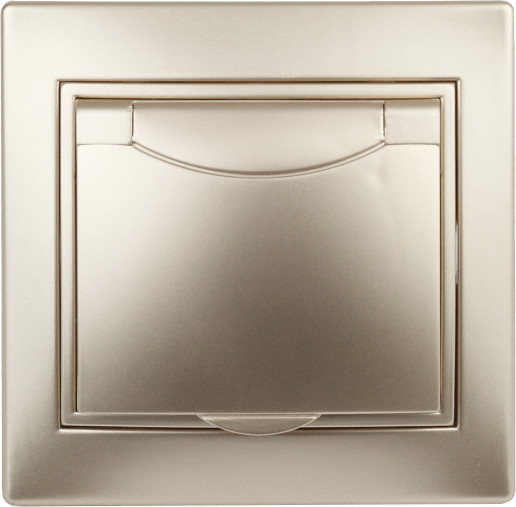 Изображение товара Розетка INTRO Plano 1-203-04 / Б0030063 (шампань)