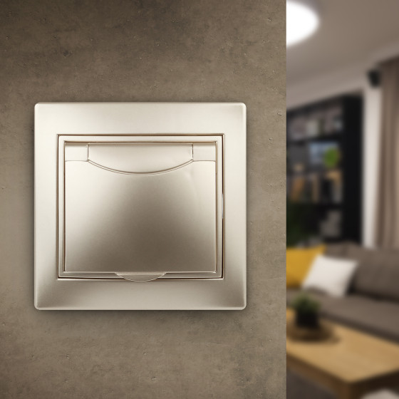 Изображение товара Розетка INTRO Plano 1-203-04 / Б0030063 (шампань)