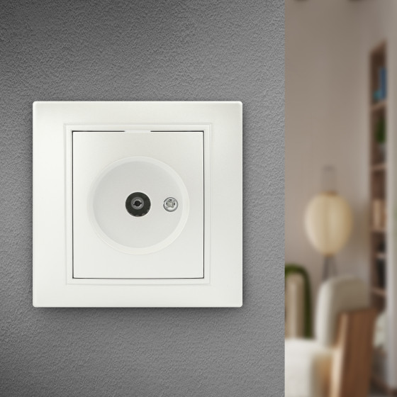 Изображение товара Розетка INTRO Plano 1-301-06 / Б0053986 (перламутр)