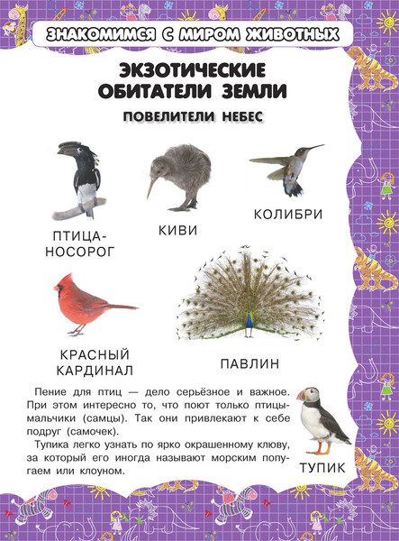 Изображение товара Развивающая книга Харвест Экзотические обитатели Земли, мягкая обложка