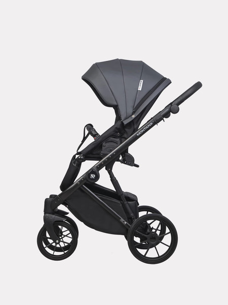 Изображение товара Детская универсальная коляска Riko Montana Ecco 2 в 1 (24, Graphite)