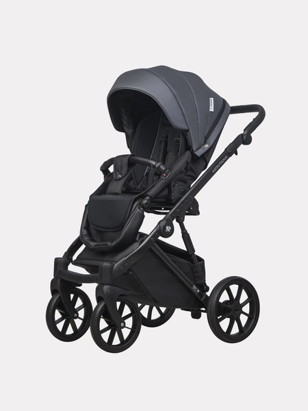 Изображение товара Детская универсальная коляска Riko Montana Ecco 2 в 1 (24, Graphite)