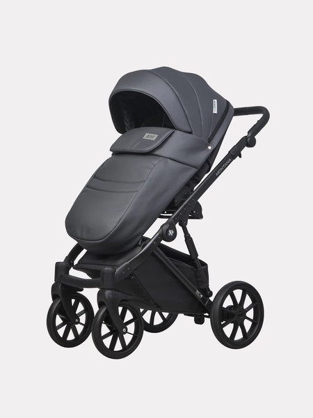 Изображение товара Детская универсальная коляска Riko Montana Ecco 2 в 1 (24, Graphite)