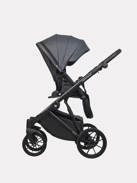 Изображение товара Детская универсальная коляска Riko Montana Ecco 2 в 1 (24, Graphite)
