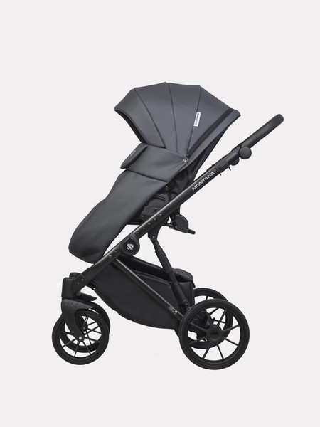 Изображение товара Детская универсальная коляска Riko Montana Ecco 2 в 1 (24, Graphite)