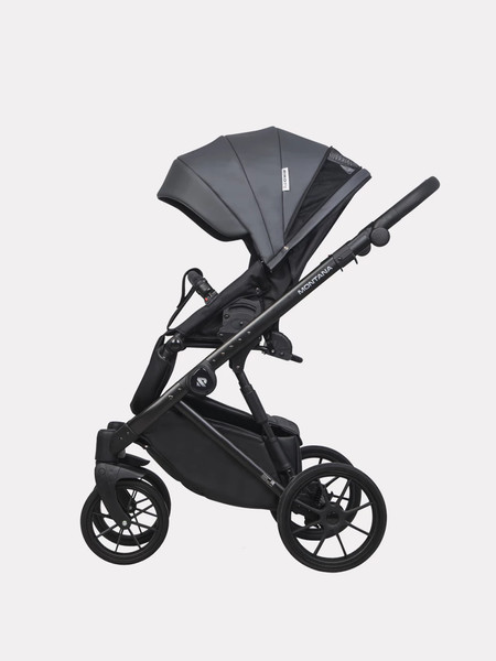 Изображение товара Детская универсальная коляска Riko Montana Ecco 2 в 1 (24, Graphite)