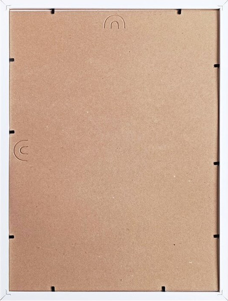 Изображение товара Рамка ZEBRA П2000003040