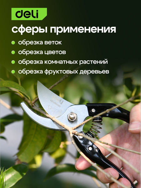 Изображение товара Секатор механический Deli EDL580200