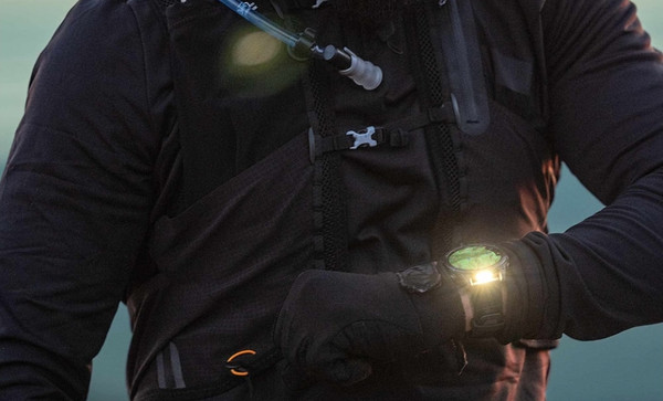 Изображение товара Умные часы Garmin Fenix 8 AMOLED Sapphire 43mm / 010-02903-11 (золото/дымчато-серый)