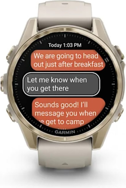 Изображение товара Умные часы Garmin Fenix 8 AMOLED Sapphire 43mm / 010-02903-11 (золото/дымчато-серый)