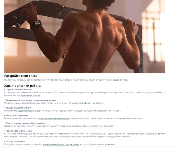 Изображение товара Умные часы Garmin Fenix 8 AMOLED Sapphire 43mm / 010-02903-11 (золото/дымчато-серый)