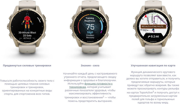 Изображение товара Умные часы Garmin Fenix 8 AMOLED Sapphire 43mm / 010-02903-11 (золото/дымчато-серый)