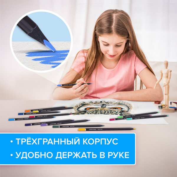 Изображение товара Набор цветных карандашей Brauberg Black Wood / 181948 (12цв)
