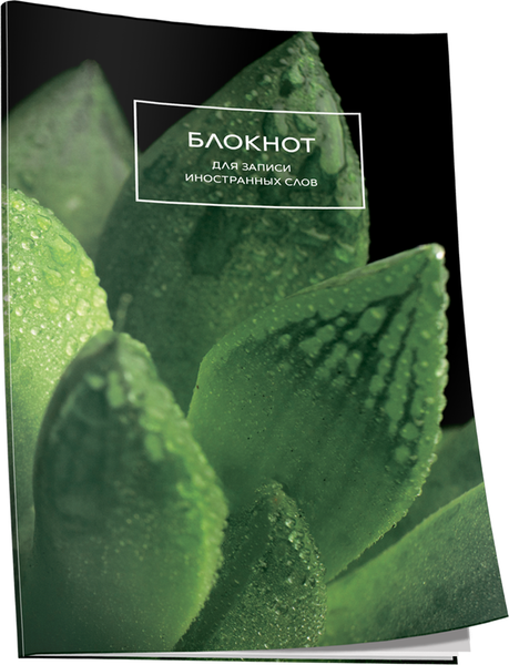 Изображение товара Блокнот Попурри Для записи иностранных слов. Суккулент / 4810764007599