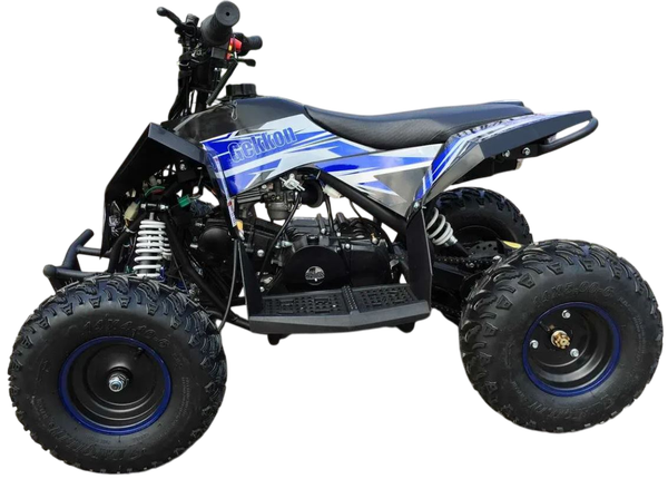 Изображение товара Электроквадроцикл Motax Gekkon E1300 (синий/черный)