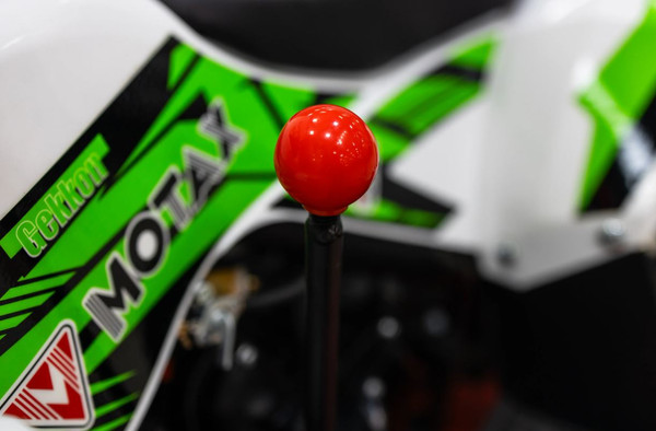 Изображение товара Квадроцикл Motax Gekkon 90 (черный/белый/зеленый)