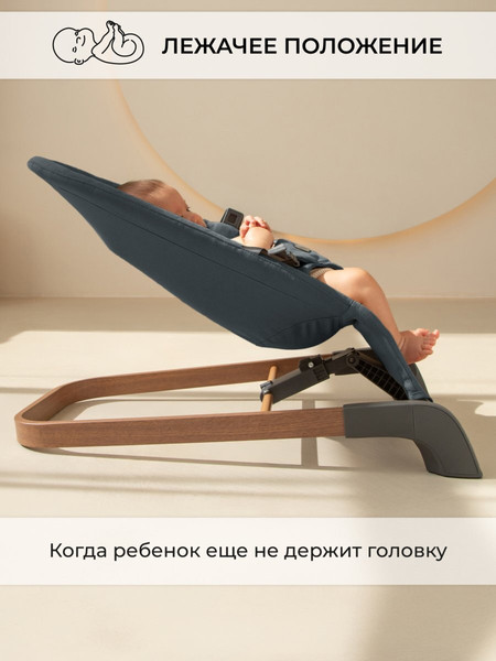 Изображение товара Детский шезлонг Amarobaby Harmony / AB24-25HR/10 (графит)