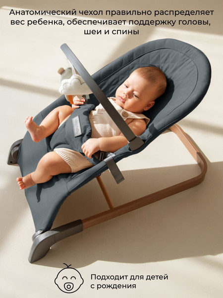 Изображение товара Детский шезлонг Amarobaby Harmony / AB24-25HR/10 (графит)