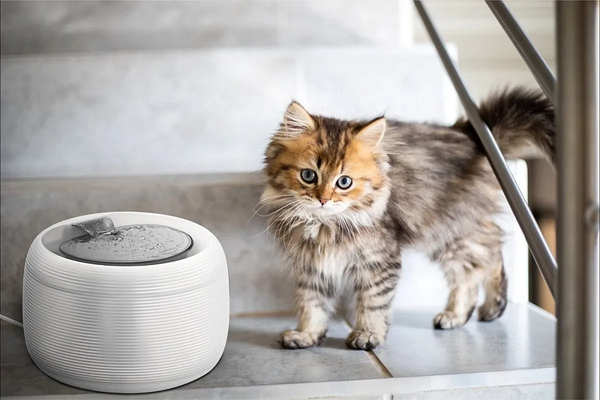 Изображение товара Поилка автоматическая для животных XCHO F-016B (2.5л, морозно-белый)