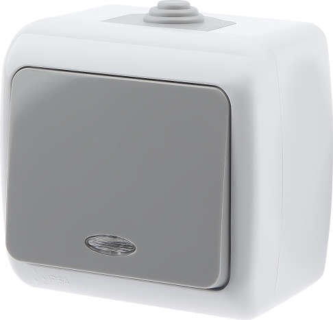 Изображение товара Выключатель INTRO Atlantic 5-102-03 / Б0050941 (серый)