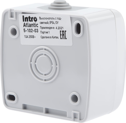 Изображение товара Выключатель INTRO Atlantic 5-102-03 / Б0050941 (серый)