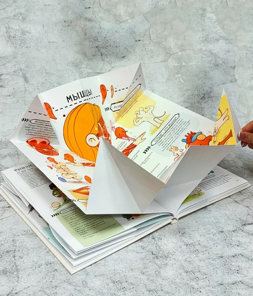 Изображение товара Развивающая книга Робинс С секретами. Секреты тела человека, твердая обложка