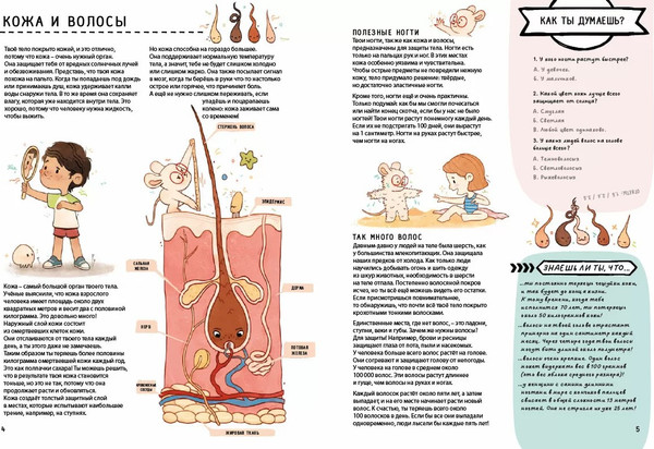 Изображение товара Развивающая книга Робинс С секретами. Секреты тела человека, твердая обложка