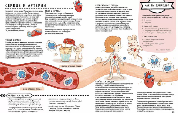 Изображение товара Развивающая книга Робинс С секретами. Секреты тела человека, твердая обложка