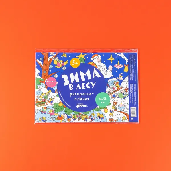 Изображение товара Плакат-раскраска Альпина Зима в лесу / 9785961498967