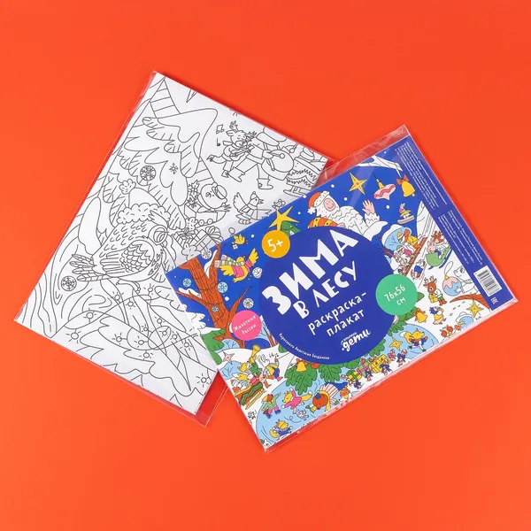 Изображение товара Плакат-раскраска Альпина Зима в лесу / 9785961498967