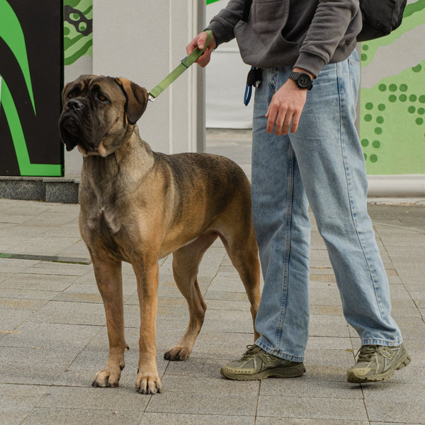 Изображение товара Поводок Ferplast Club GM25/45 (темно-зеленый)