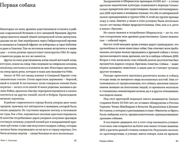 Изображение товара Книга Popcorn Books Моя доисторическая семья, мягкая обложка (Бойс Карин)