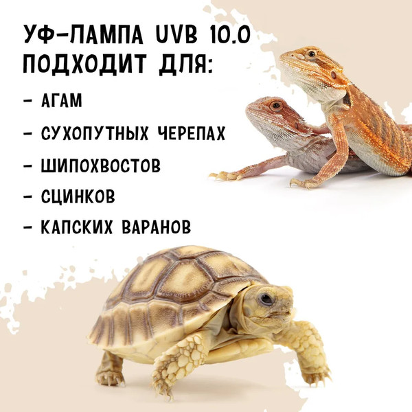Изображение товара Лампа для террариума Mclanzoo Desert UVB10 26Вт / 8622073/MZ