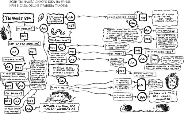 Изображение товара Книга Альпина Синьор Колбаска (Сорига Флавио 9785961499728)