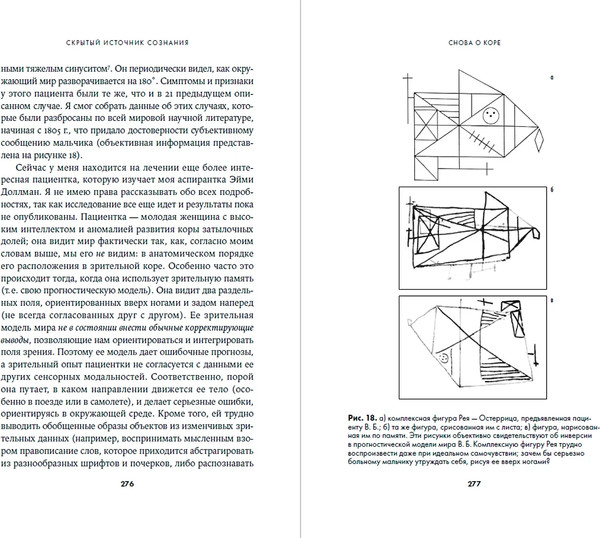 Изображение товара Книга Альпина Скрытый источник сознания, твердая обложка (Солмс Марк)