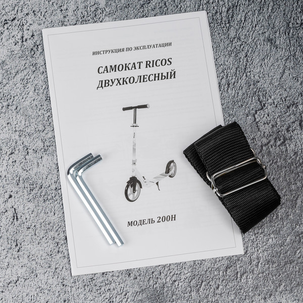 Изображение товара Самокат городской Ricos Impulse 200H (серый)