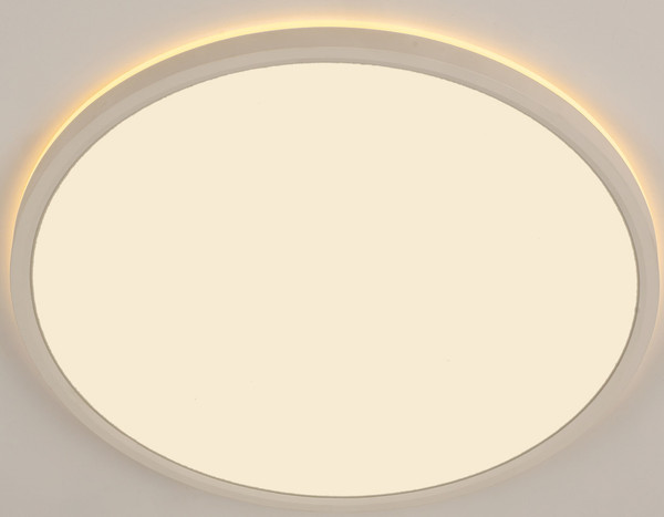 Изображение товара Потолочный светильник Citilux Norma CL748400