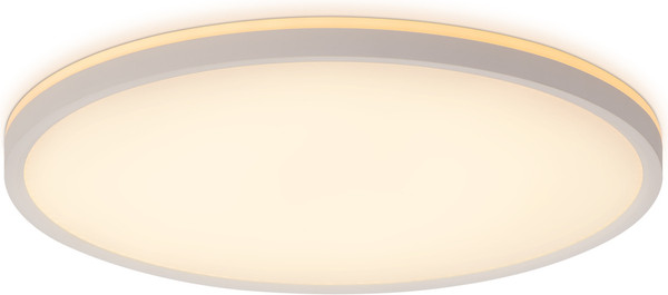 Изображение товара Потолочный светильник Citilux Norma CL748400