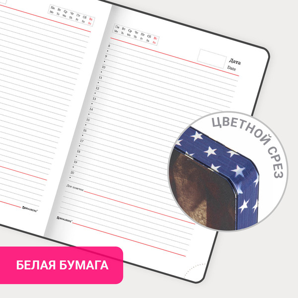 Изображение товара Ежедневник Brauberg Vista. Independence / 112006 (136л)