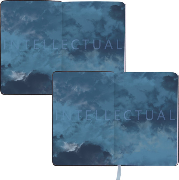 Изображение товара Ежедневник Brauberg Vista. Spirit / 112117 (136л)