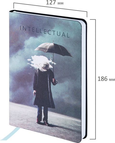 Изображение товара Ежедневник Brauberg Vista. Spirit / 112117 (136л)